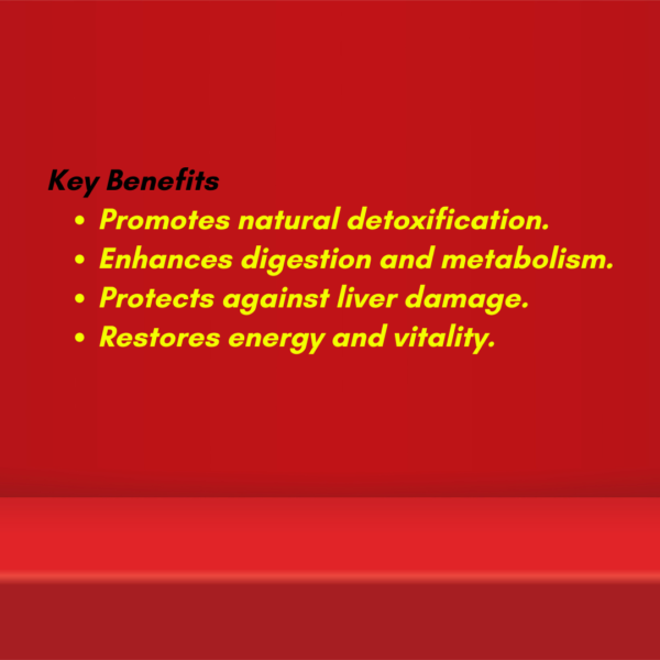 LivX – Ayurvedic Liver Tonic - Image 2
