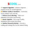 Scool-sf antacid syrup,digestive syrup